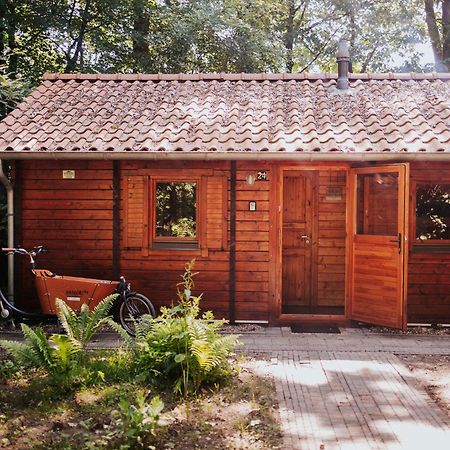 Sfeervolle Blokhut Met Fijne Buitenruimte @ Veluwe Epe Exteriör bild